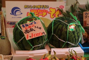 國產(chǎn)水果的文化價值 中日消費心理的分野