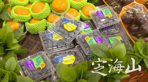 定海首起違規(guī)銷(xiāo)售進(jìn)口水果案件被嚴(yán)肅查處